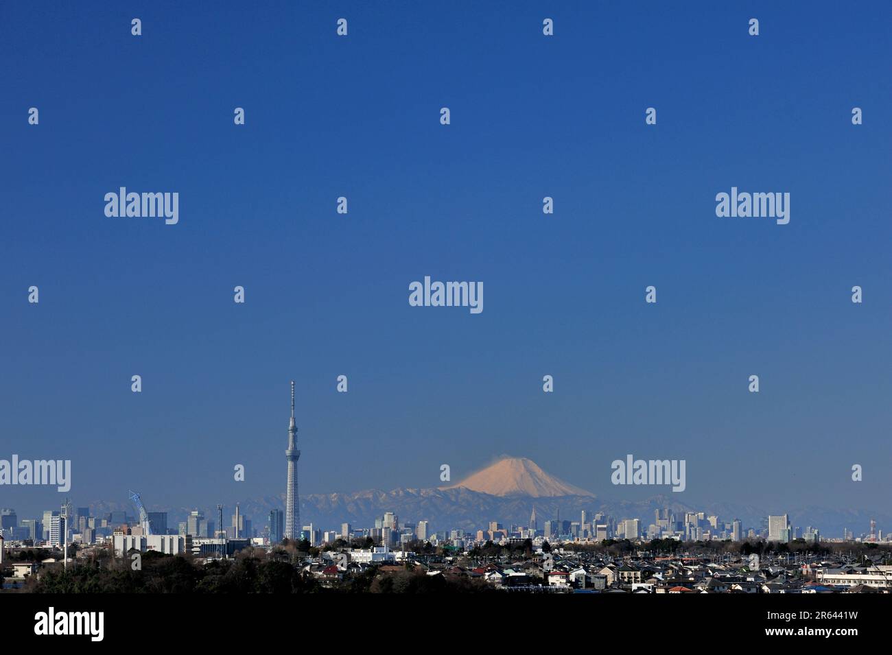 Tokyo Sky Tree e Monte Fuji Foto Stock