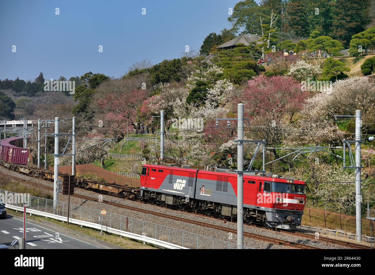 Giardino di Kairakuen fiorito di prugna e treno di trasporto Foto Stock