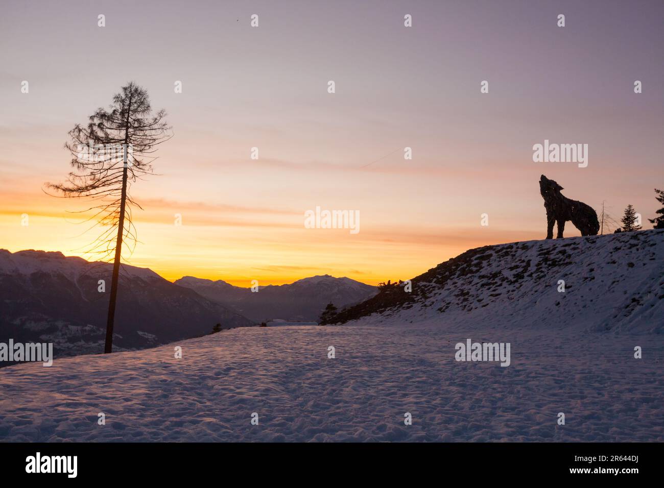 Scultura in legno di un lupo fatto di rami d'albero. Vaia tempesta lupo Foto Stock