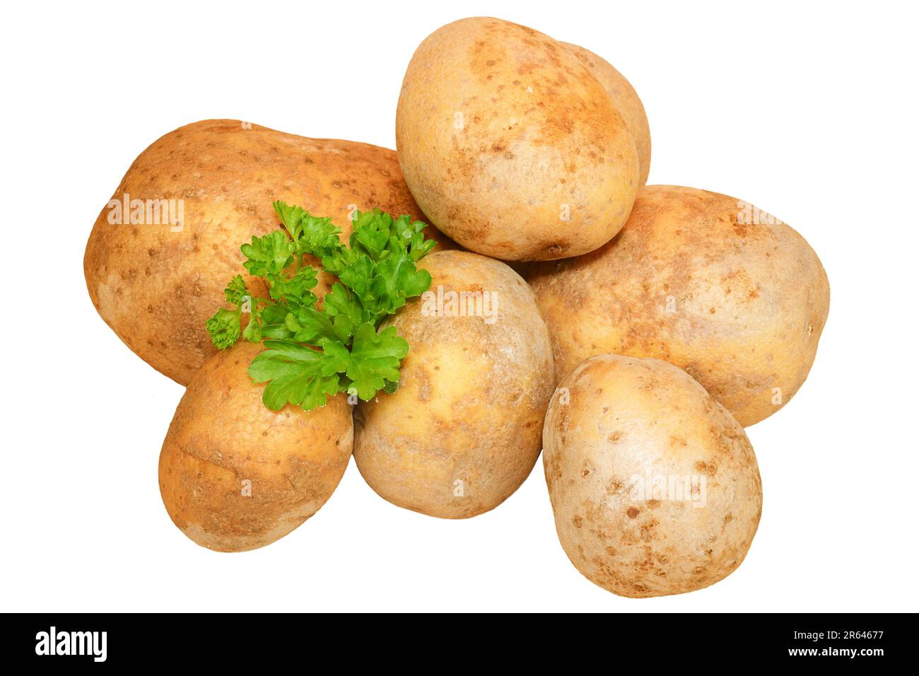 Patate senza sfondo. Gruppo di patate crude con prezzemolo. Foto Stock