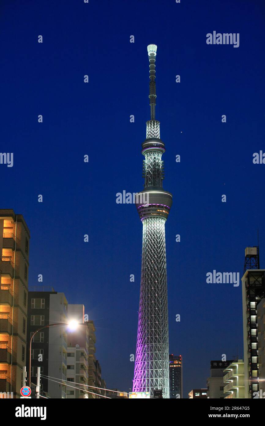 Sky Tree e Kiyosumi-dori Avenue di notte Foto Stock