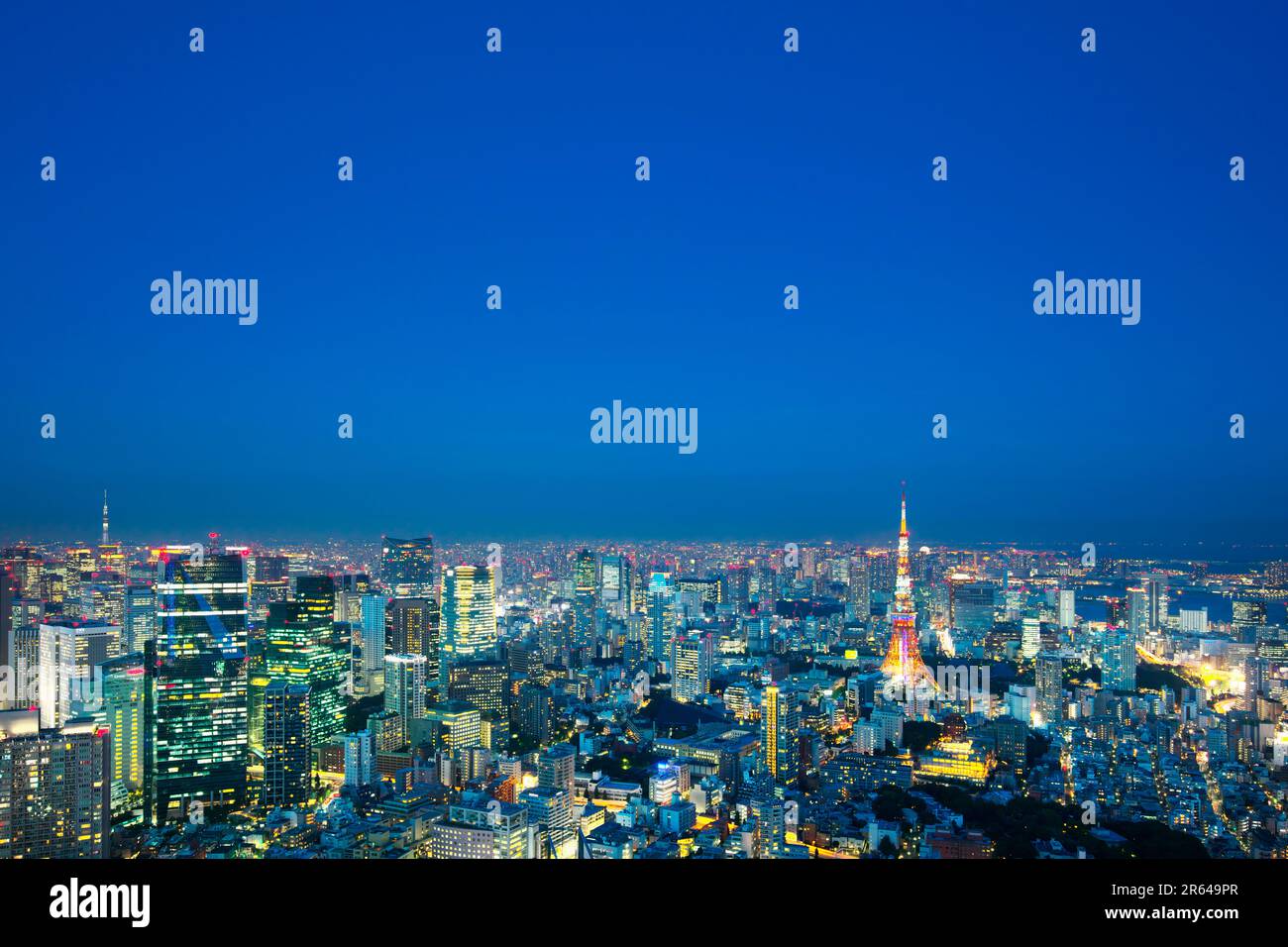 Vista notturna di Tokyo e della Tokyo Tower Foto Stock