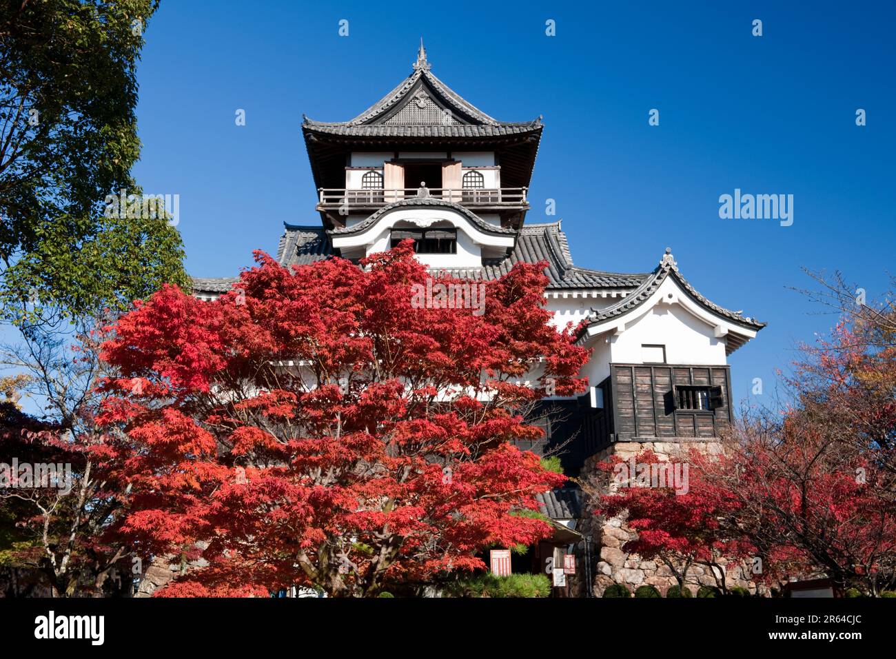 Foglie autunnali e Castello Inuyama Foto Stock
