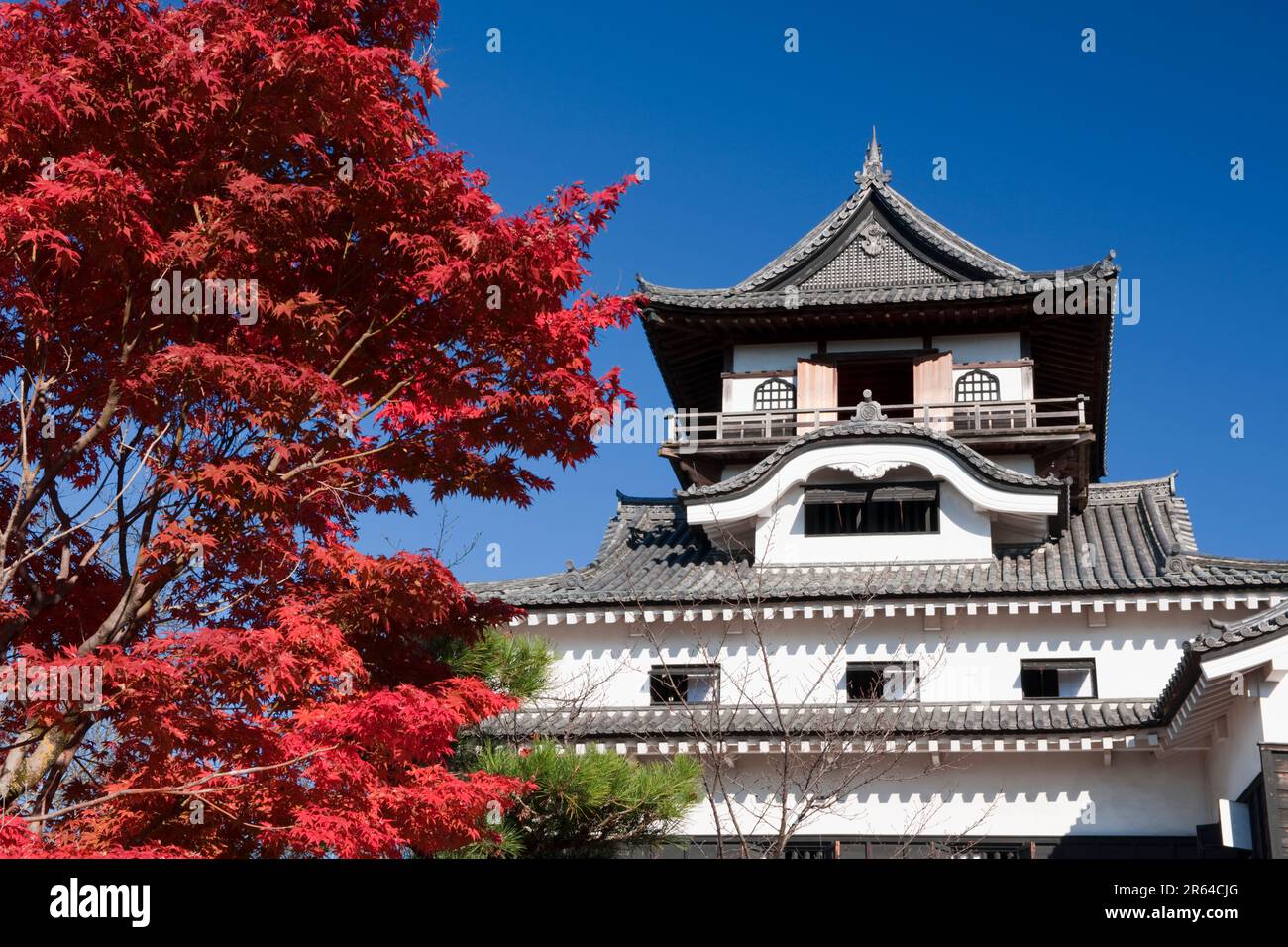 Foglie autunnali e Castello Inuyama Foto Stock
