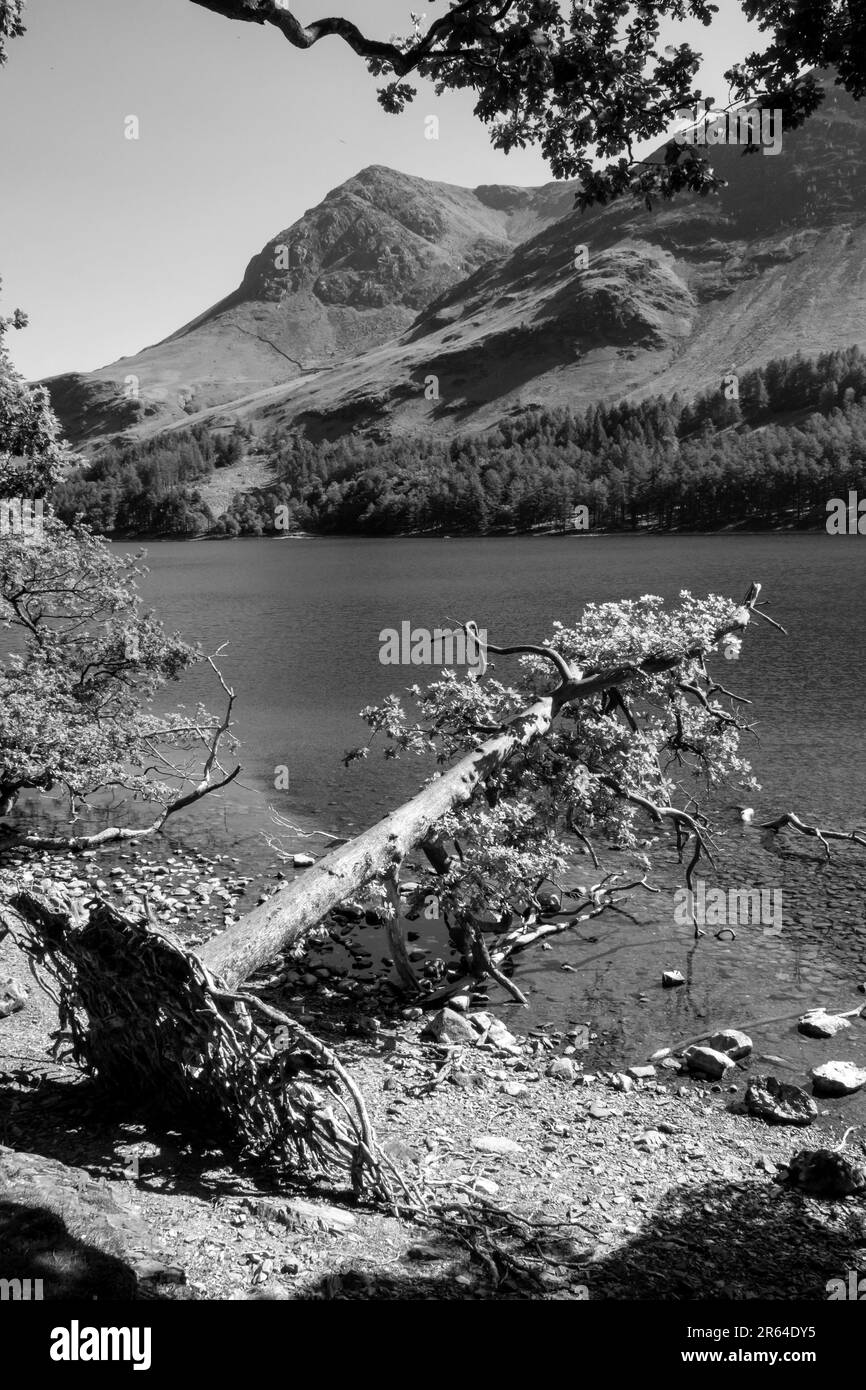 Lago Buttermere nel Distretto dei Laghi Inglese Foto Stock