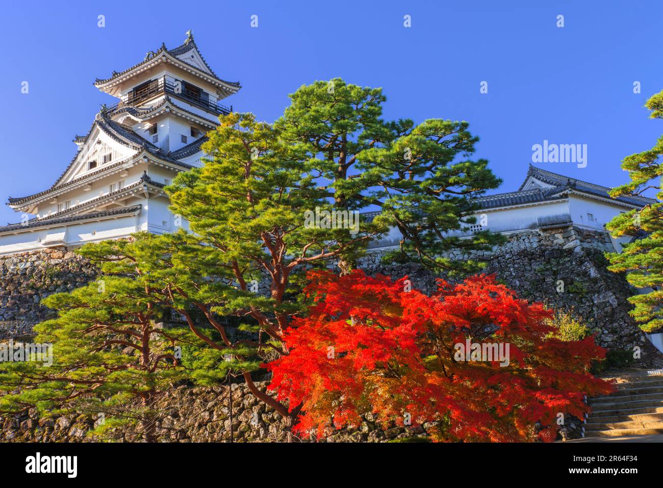 Colori autunnali e Castello di Kochi Foto Stock