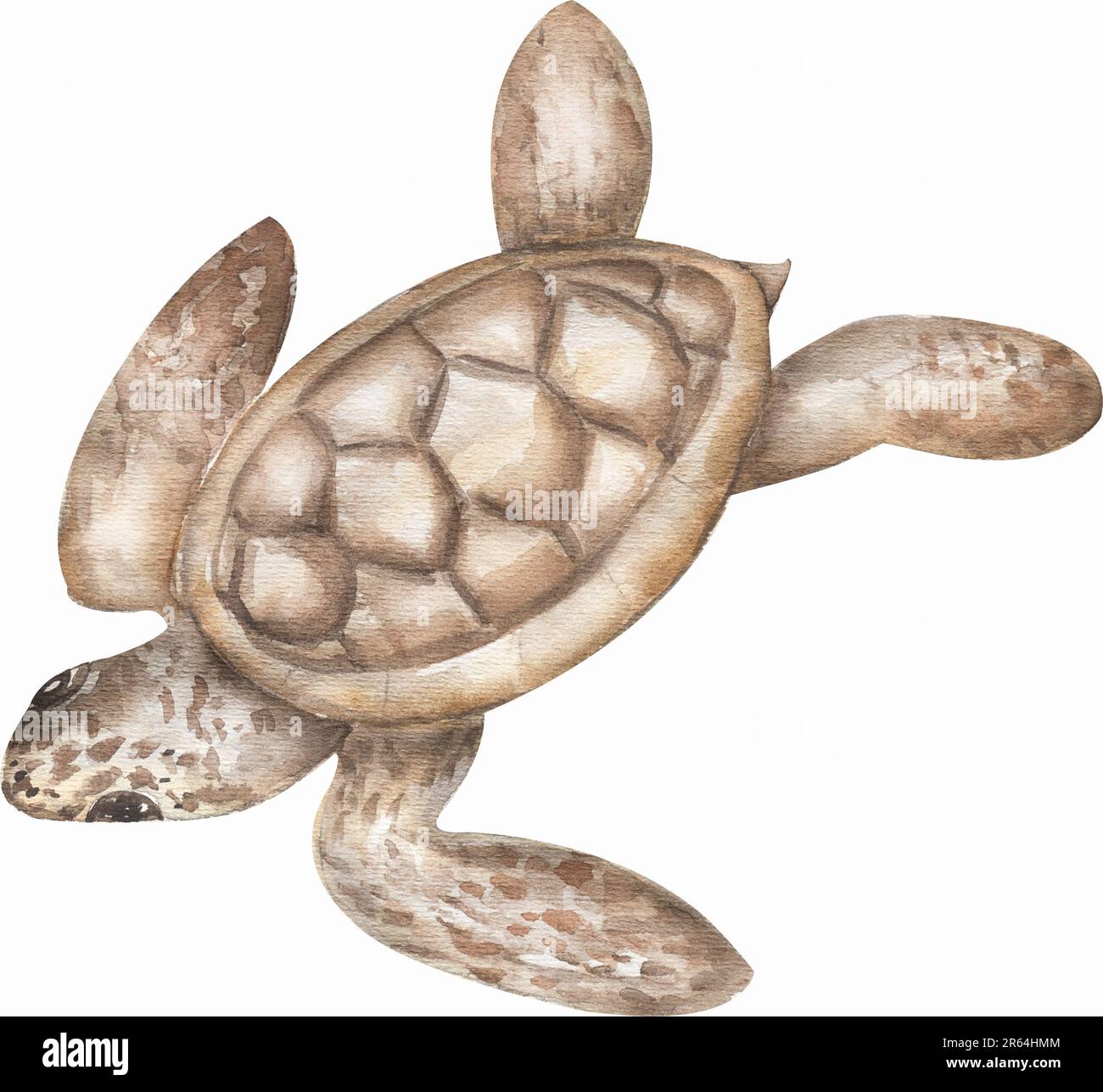 Acquerello mare piccola tartaruga, cucciolo illustrazione, oceano animale clipart, stampa fauna selvatica Foto Stock