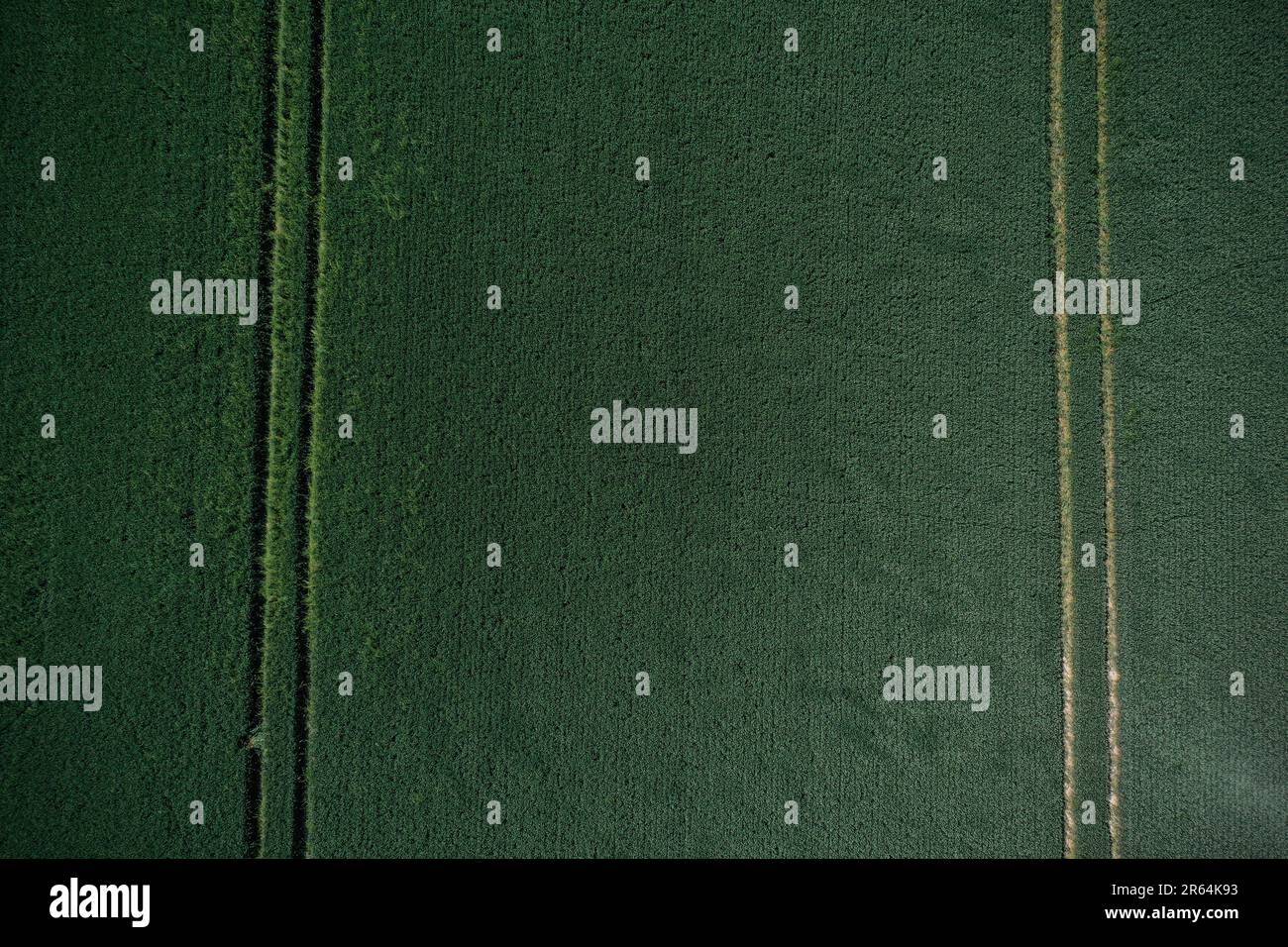 Veduta aerea su un campo di grano nella Senna e Marna in Francia Foto Stock