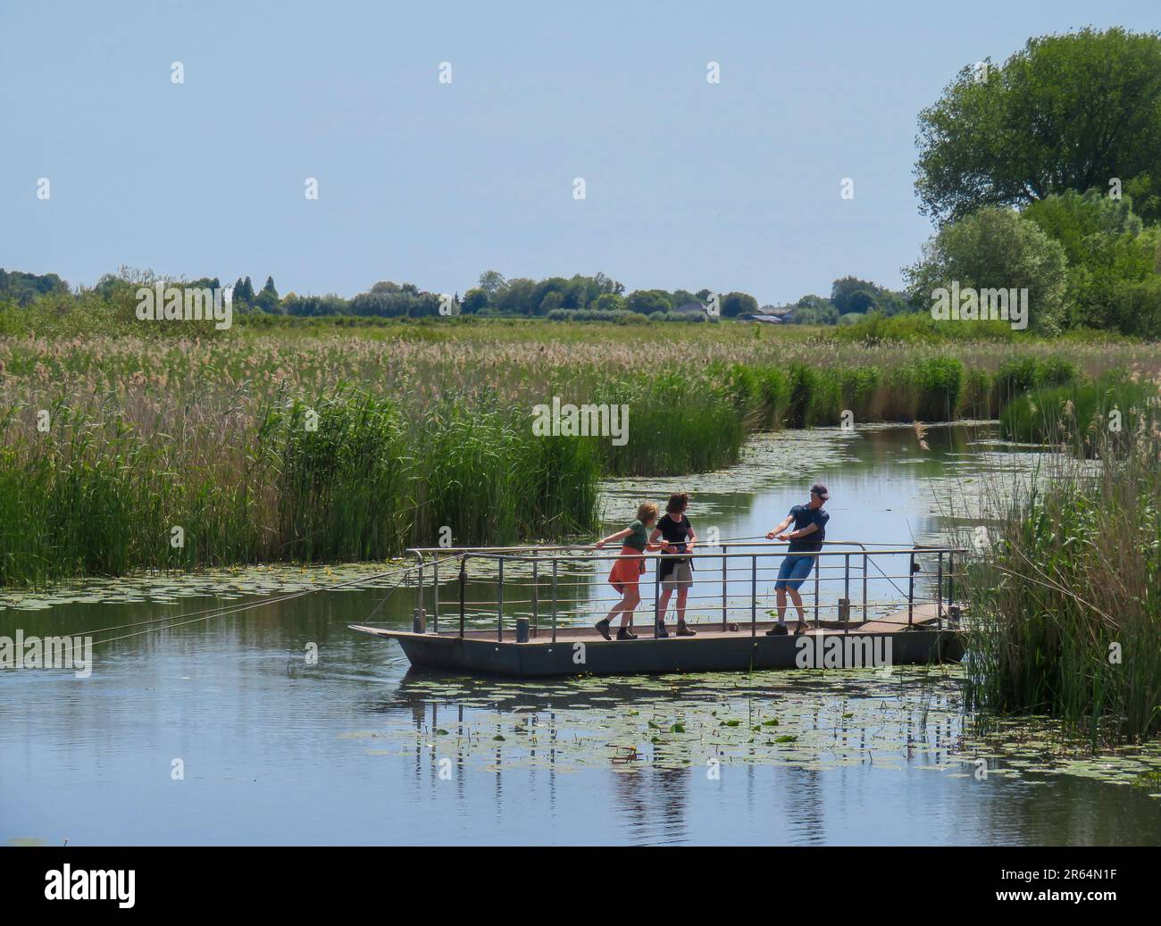 Paesi Bassi; mentre camminate nella provincia di Gelderland, dovete attraversare l'acqua, usando un traghetto motorizzato a mano. Foto Stock