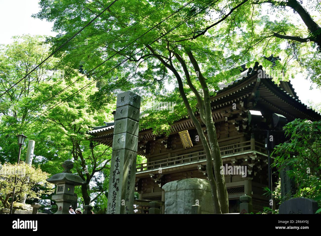 Porta del Monte Takao Foto Stock