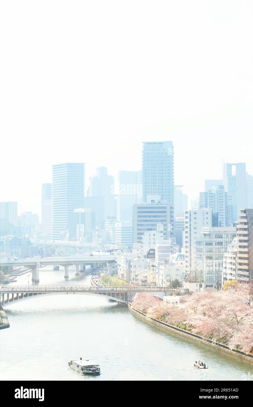 Fiori di ciliegio ed edifici nel Parco Minami-tempa Foto Stock