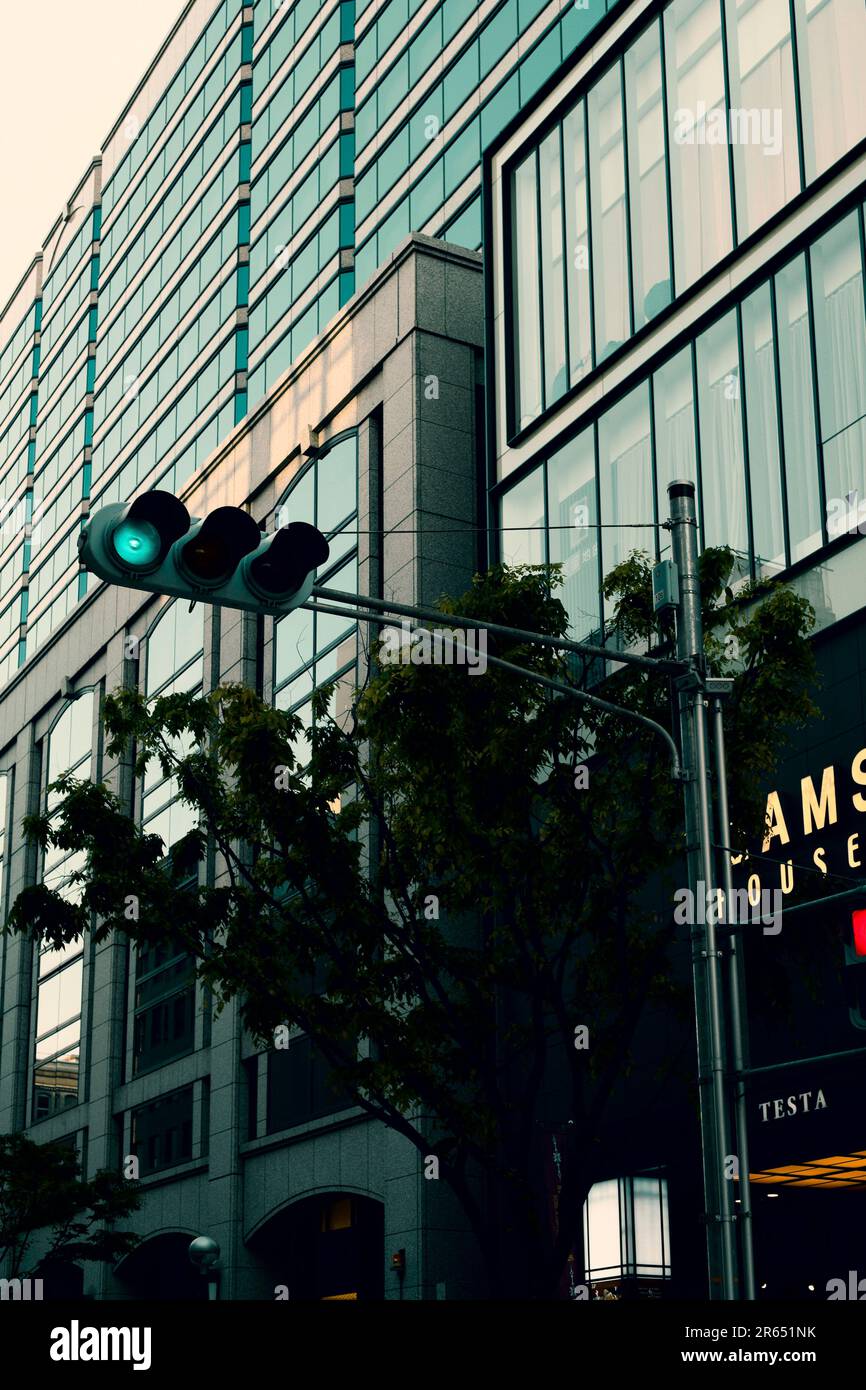 Paesaggio stradale di Kobe Kyu-kokichi Foto Stock