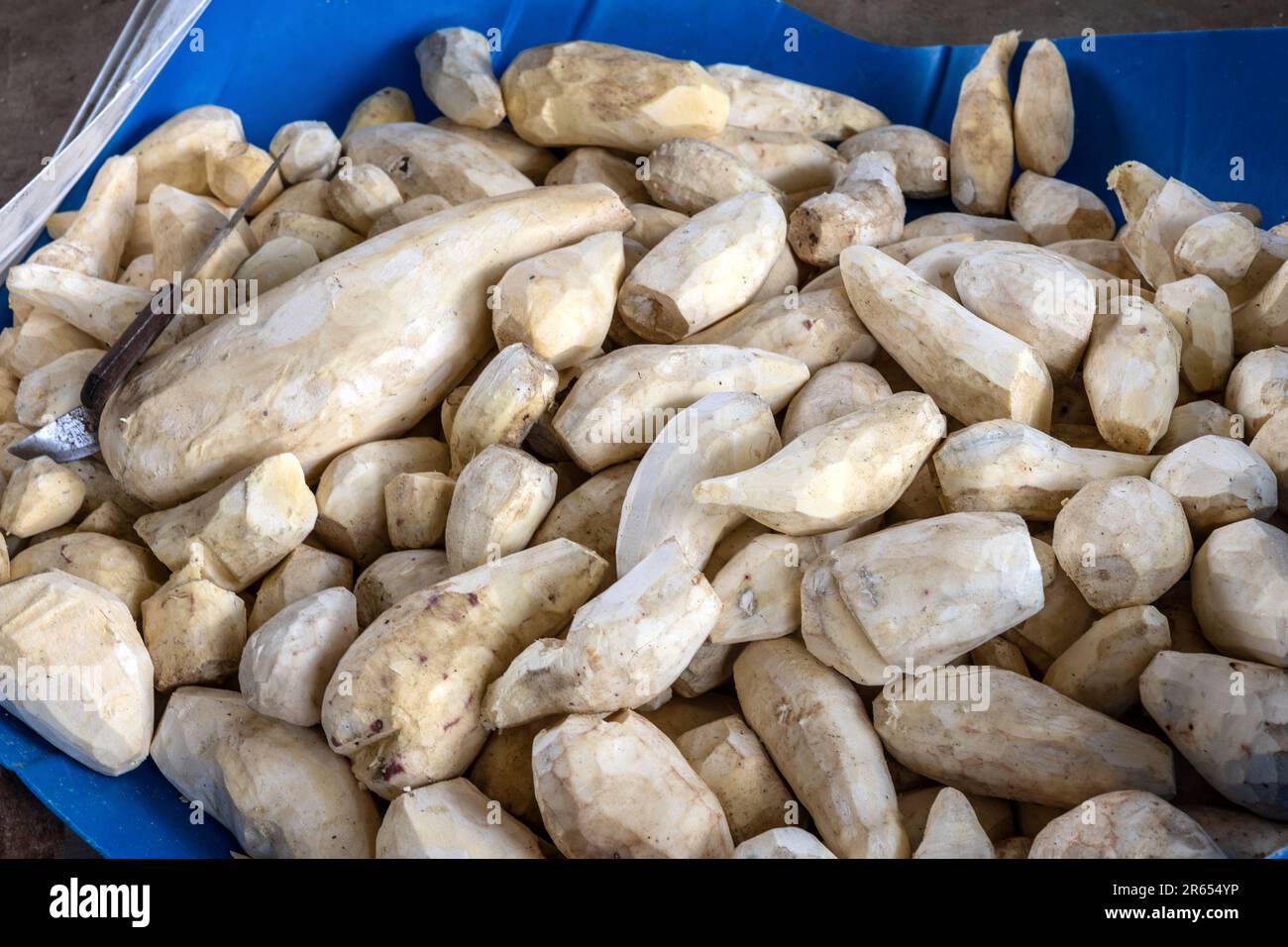 Preparazione di Casava, post peeling, villaggio amerindiano (prima nazione), fiume Rupununi, Rupununi Savannah, Upper Takutu-Upper Essequibo regione, Guyana Foto Stock