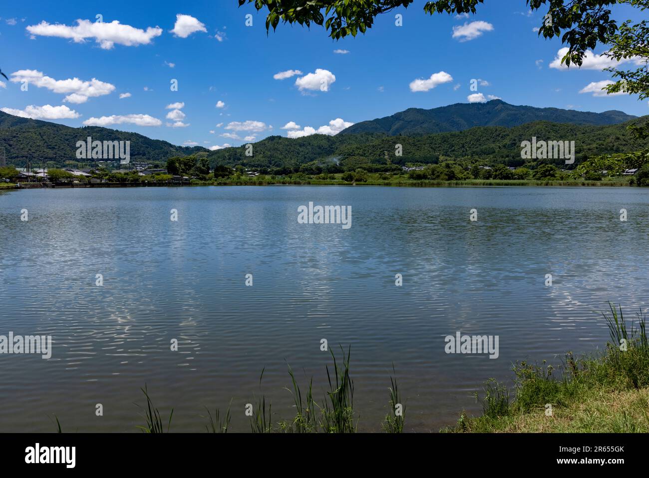 Hirozawa Pond a metà estate Foto Stock