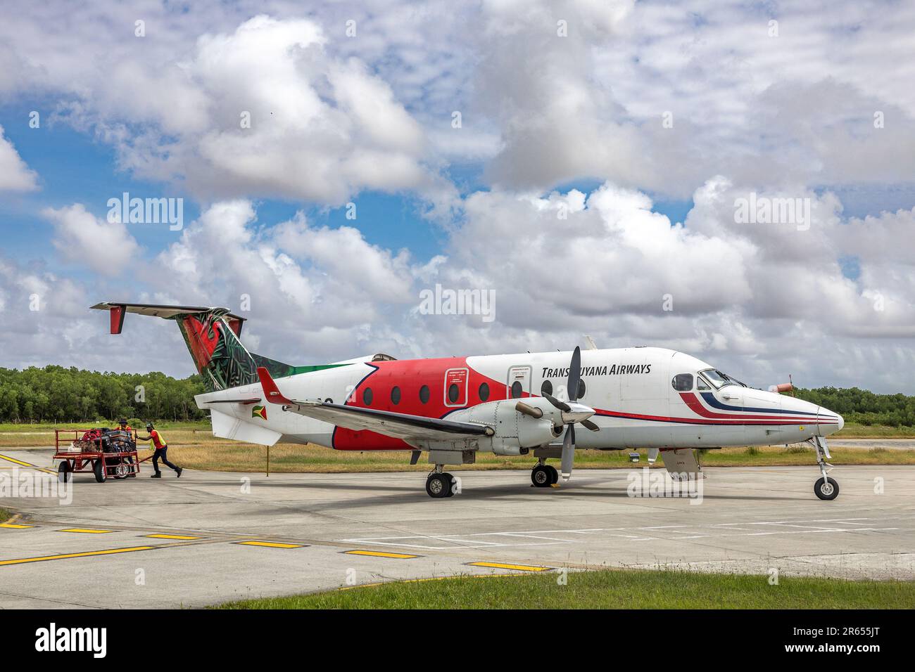 Scarico, Hawker Beechcraft Beech King 1900D, Trans Guyana Airways, Scarlet Ibis tail motif, volo da Rupununi Savannah a Georgetown, Guyana Foto Stock