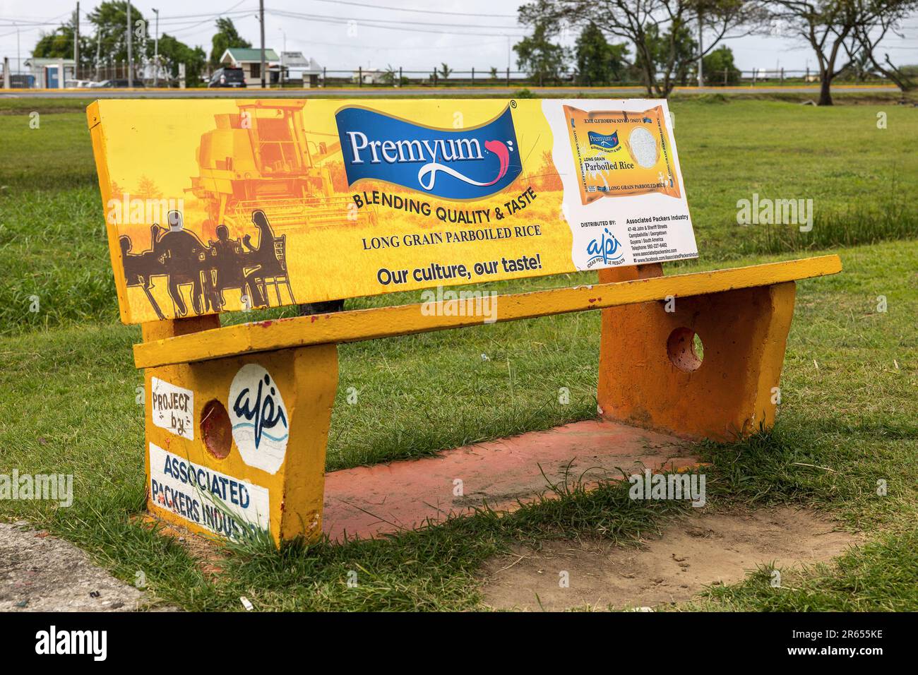 Parco Nazionale della Guyana, panchina del parco, Georgetown, Guyana Foto Stock