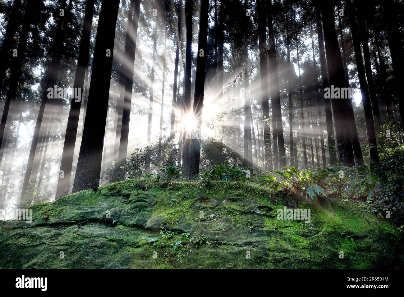 Enzaishi (pietra circolare) su Kumano Kodo Nakaheji Foto Stock