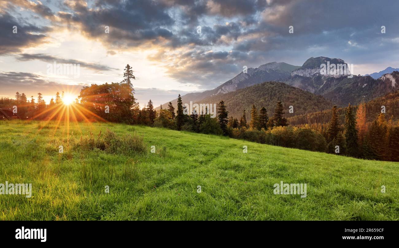 Alba paesaggio in montagna, Tatranska Javorina, Slovacchia Foto Stock