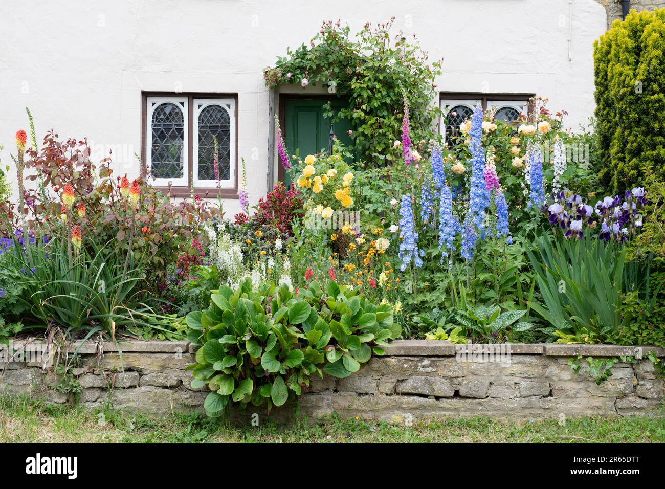 Fiori in un giardino cottage inglese nel mese di giugno. Northamptonshire, Inghilterra Foto Stock