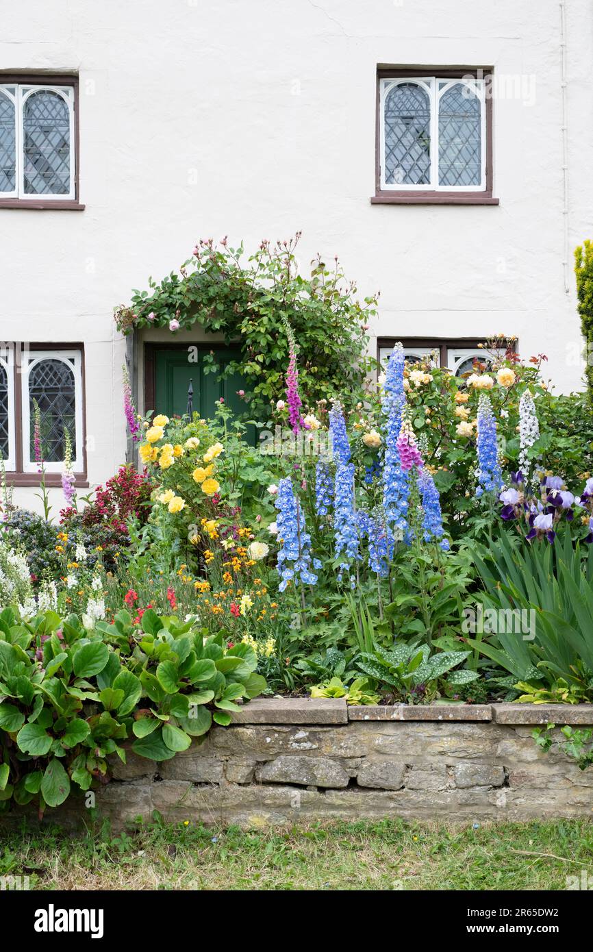 Fiori in un giardino cottage inglese nel mese di giugno. Northamptonshire, Inghilterra Foto Stock