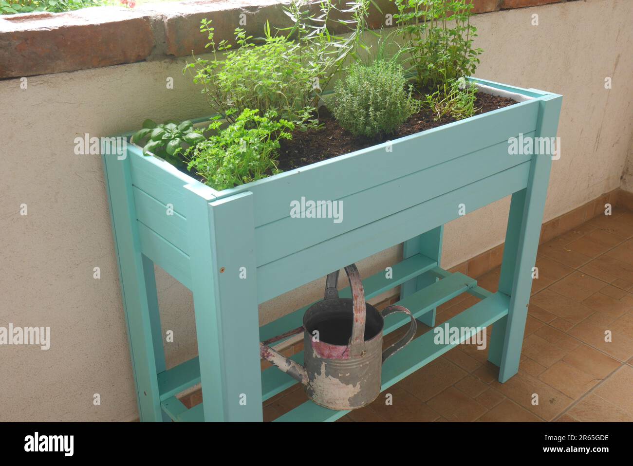 Erbe culinarie che crescono in una scatola di erbe di legno dipinta di blu su una veranda, Szigethalom, Ungheria Foto Stock