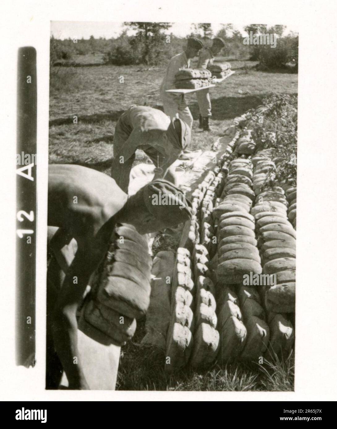 SS Photographer Baumann, Totenkopf Division, Russia 1941 unità di ricognizione gommata, foto di moto, fucili, tombe, prigionieri di guerra e abitanti del villaggio russi, Fieseler Fi 156 Storch, carri armati e attrezzature russe distrutti, costruzione di ponti, soldati che nuotano nel fiume, equipaggio di mitragliatrici, equipaggio di pistole anticarro, cerimonia di premiazione di unità, Unità di marzo, artiglieria trainata da halftrack, unità di manutenzione di veicoli a motore, attività Kriegsberichter, panetteria da campo, ospedale da campo, rifornimento aereo da JU-52, unità di proiettore antiaereo, ufficio postale sul campo, e un Focke-Wulf 189 (Eagle-Owl) in volo. IMA Foto Stock