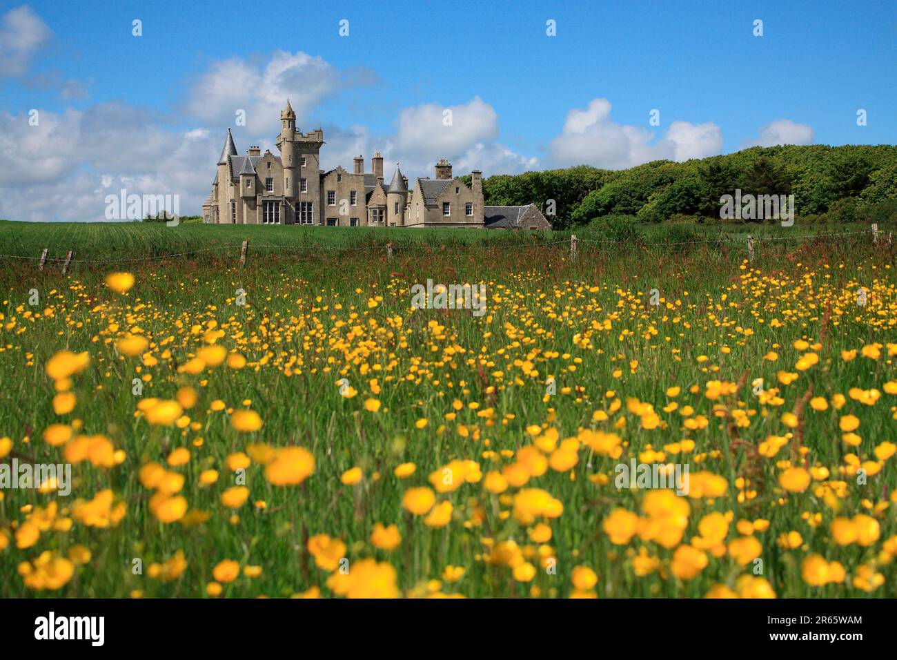 Campo di farfalle con Balfour Castello dietro, Isola di Shapinsay, Orkney Foto Stock