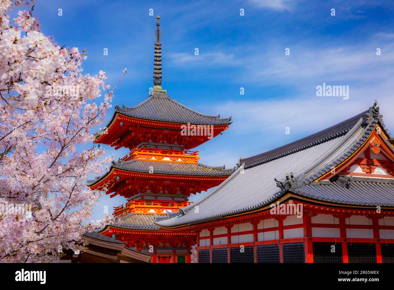 Pagoda a tre piani e fiori di ciliegio in Kiyomizu-dera Foto Stock