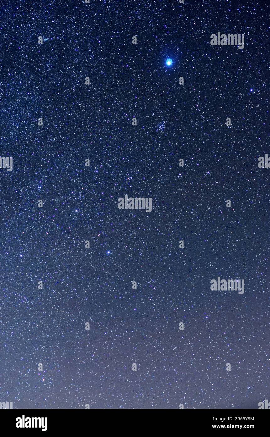 Sirius e il cluster a dispersione M41 Foto Stock