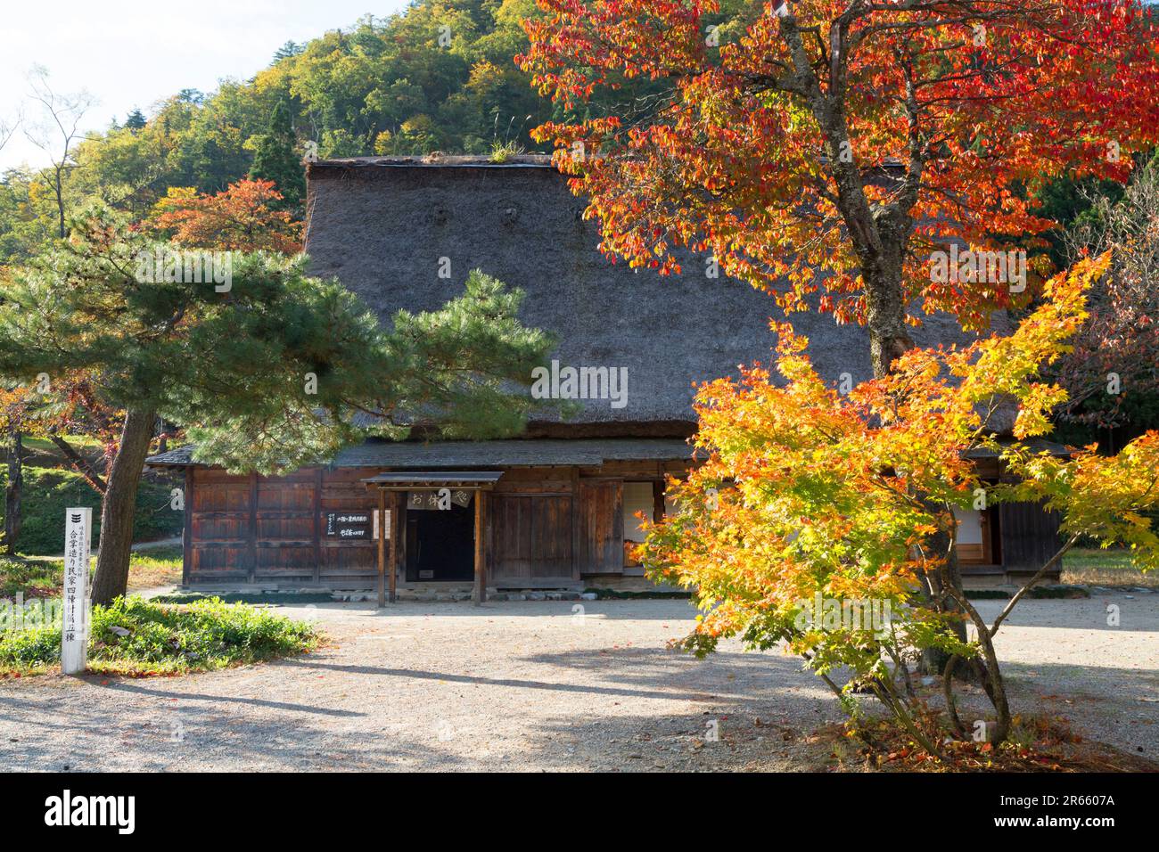 Giardino Gassho-zukuri Minka di Shirakawa-go Foto Stock