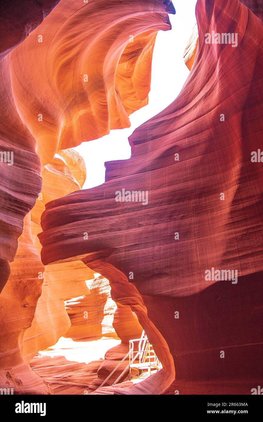 Lions Head nel Lower Antelope Canyon dalla Navajo Nation Foto Stock