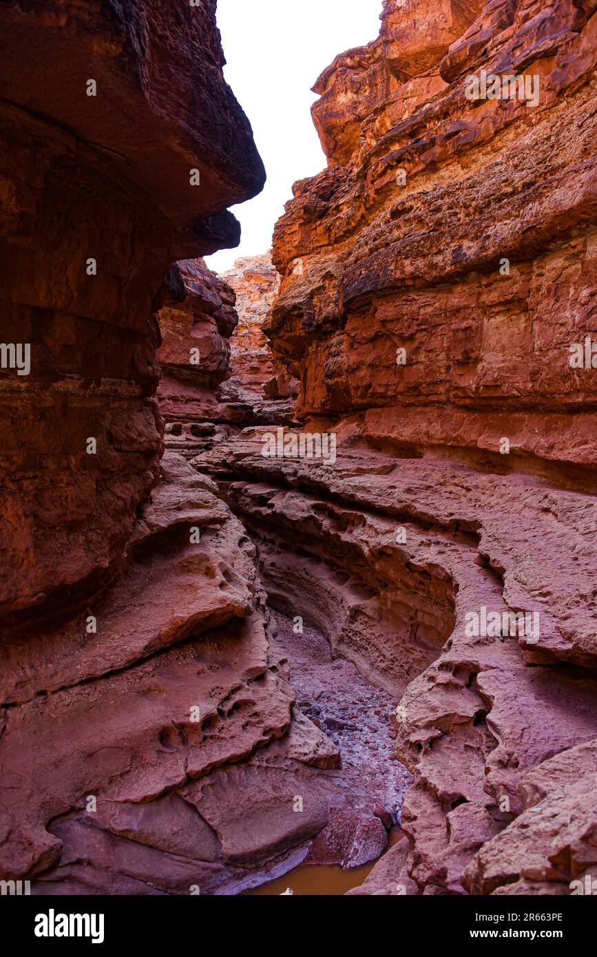 Alcuni dei canyon di slot cool e texture sulla passeggiata Cathedral Wash Trail Foto Stock