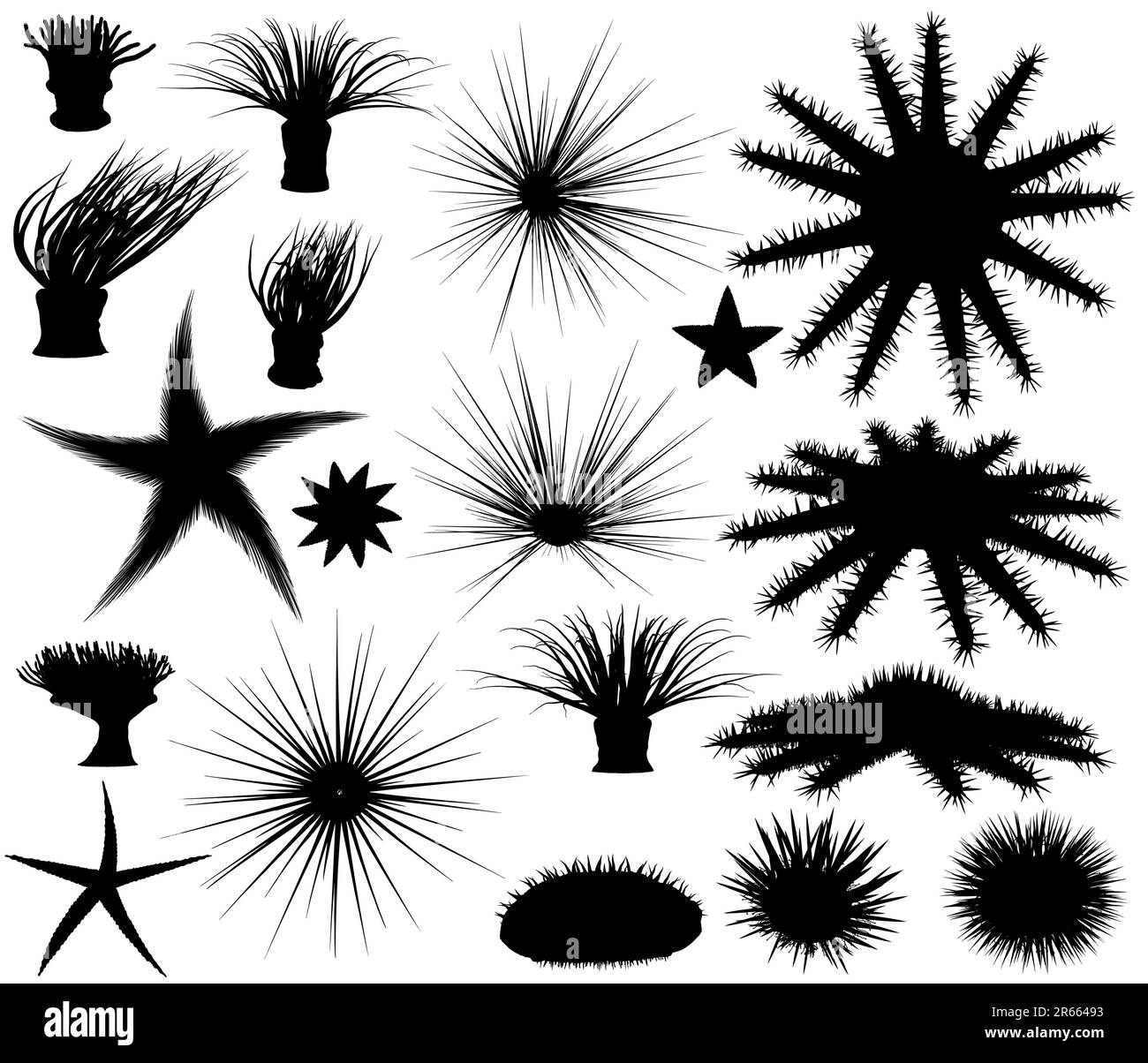 Set di vettore modificabile sagome di mare lifeforms Illustrazione Vettoriale