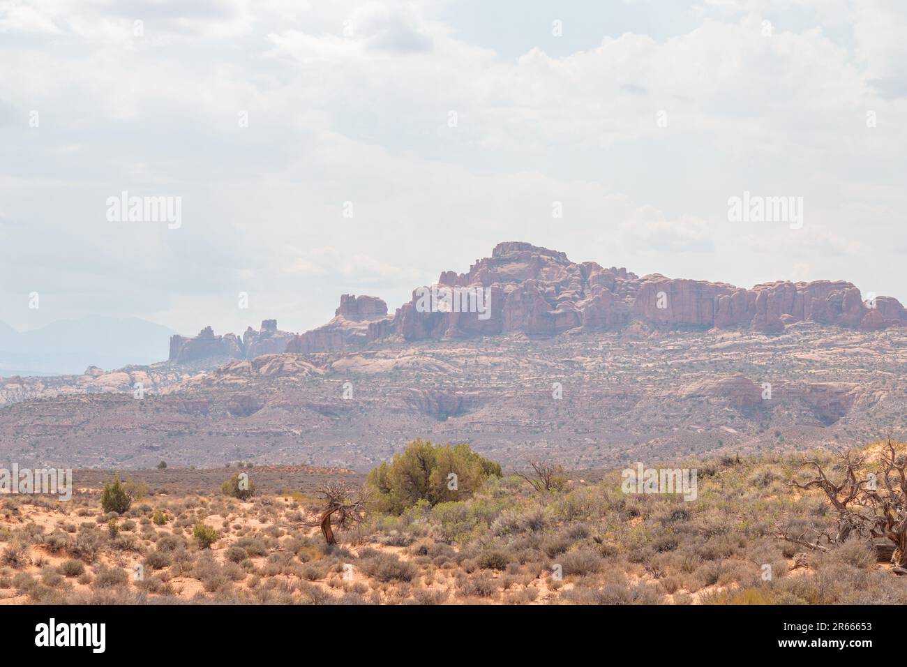 Formazioni rocciose nel deserto di Moab, Utah, nell'Arches National Park Foto Stock