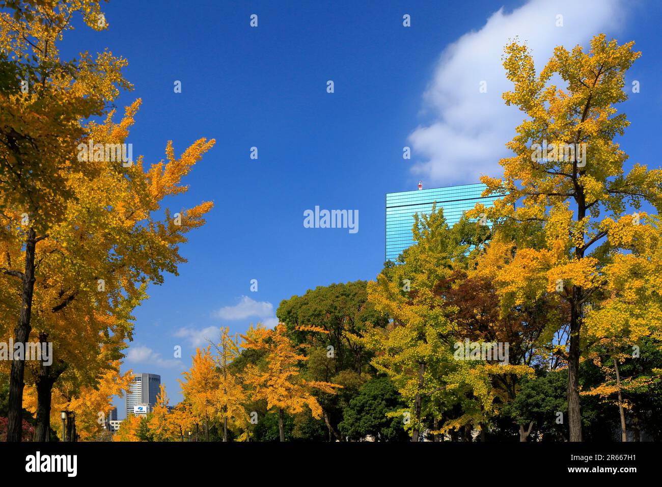 Osaka Castle Park con foglie autunnali e business Park Foto Stock