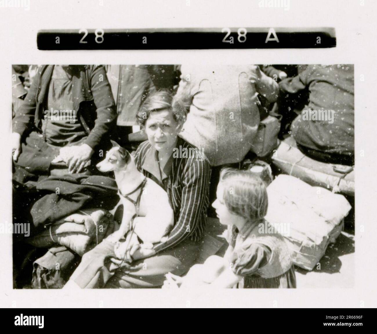 SS fotografo Bergmann, Johannes, Leibstandarte Adolf Hitler, Francia 1940 Bivouac e attività quotidiane sul campo; tombe tedesche; treno con i rifugiati; fanteria in marcia; consegna di truppe francesi e prigionieri di guerra; unità antiaerea di piccolo e grande calibro; catturato il campo aereo francese con aerei da combattimento; catturato il personale francese con carte e carte geografiche; Cerimonia di premiazione dell'unità con Sepp Dietrich; foto di singoli vincitori e membri dell'unità; attività post-armistizio come manutenzione del veicolo, relax dei membri dell'unità, addestramento fisico dell'unità e altri compiti quotidiani, foto paesaggistiche o Foto Stock