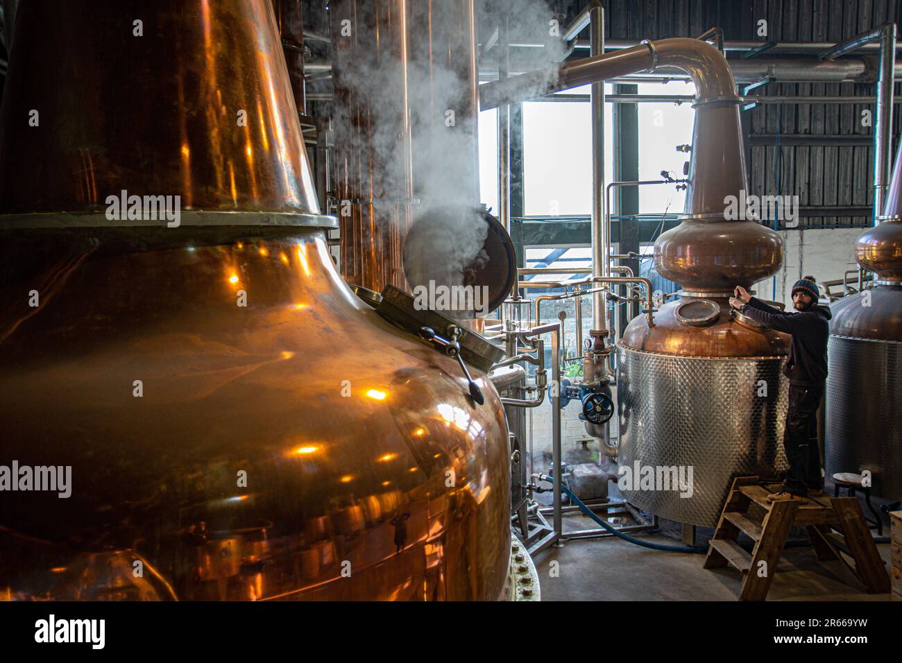 Distilleria Arbikie Highland Estate, Highlands , Montrose, Scozia Foto Stock