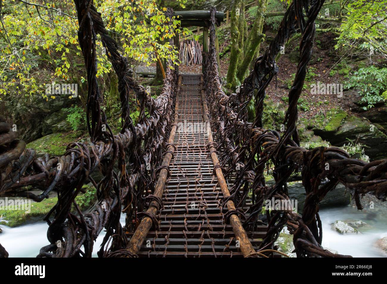 Ponte Kazura a Oku-Iya, Shikoku Foto Stock