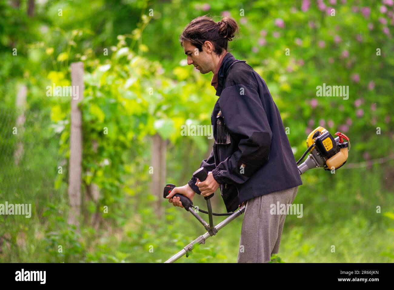 Uomo da lavoro giardiniere caucasico tagliaerba manuale tagliaerba  tagliaerba a mano tagliaerba o pinzetta elettrica o taglierina a spazzola  Prato Mace Gasoline primo piano Foto stock - Alamy