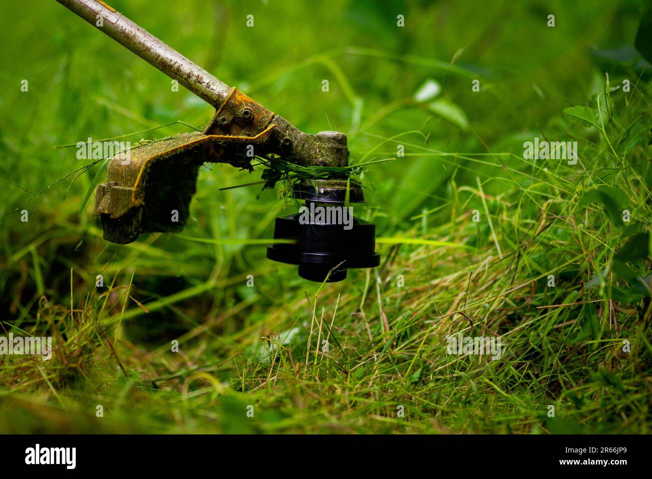 Uomo da lavoro giardiniere caucasico tagliaerba manuale tagliaerba tagliaerba a mano tagliaerba o pinzetta elettrica o taglierina a spazzola Prato Mace Gasoline primo piano Foto Stock