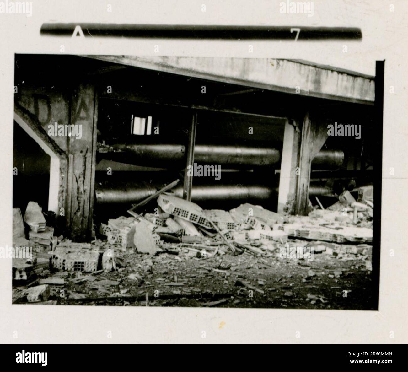 SS Photographer Blaurock, France, Finland 1942-44 SS Soldier ritratto foto, scuttling della flotta francese a Tolone nel novembre 1942, catturato russo anti-aereo pistola, Gebirgsjäger Regiment 11 'Reinhard Heydrich' in campo di formazione, attività quotidiane e ricreative, sfilata, attività, unità di artiglieria pesante Foto Stock