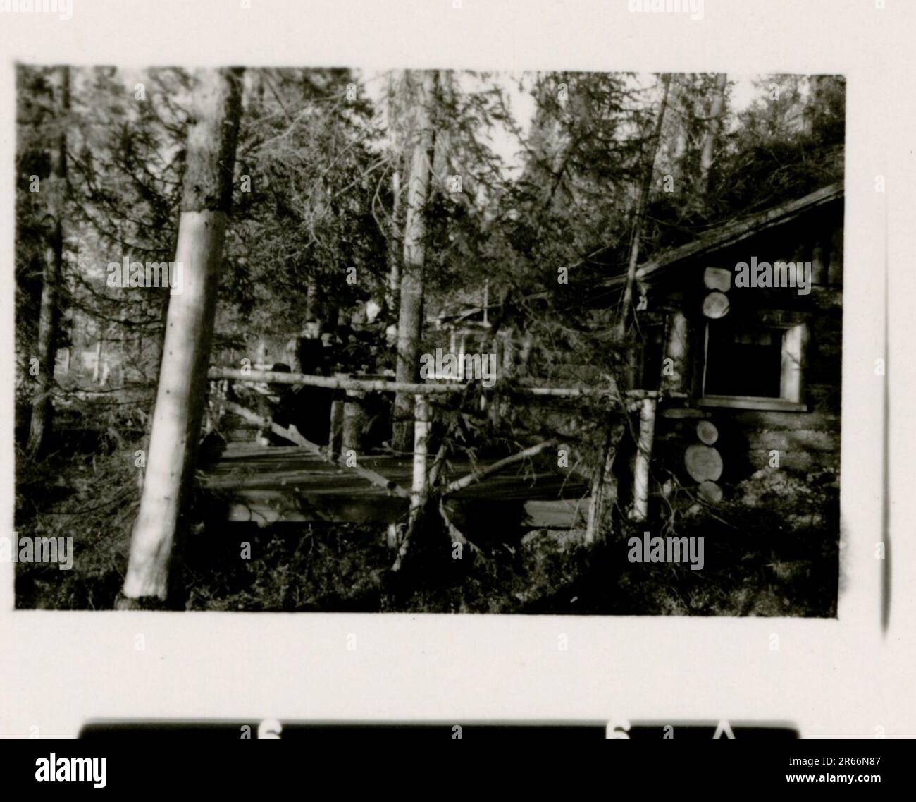 SS Photographer Blaurock, France, Finland 1942-44 SS Soldier ritratto foto, scuttling della flotta francese a Tolone nel novembre 1942, catturato russo anti-aereo pistola, Gebirgsjäger Regiment 11 'Reinhard Heydrich' in campo di formazione, attività quotidiane e ricreative, sfilata, attività, unità di artiglieria pesante Foto Stock