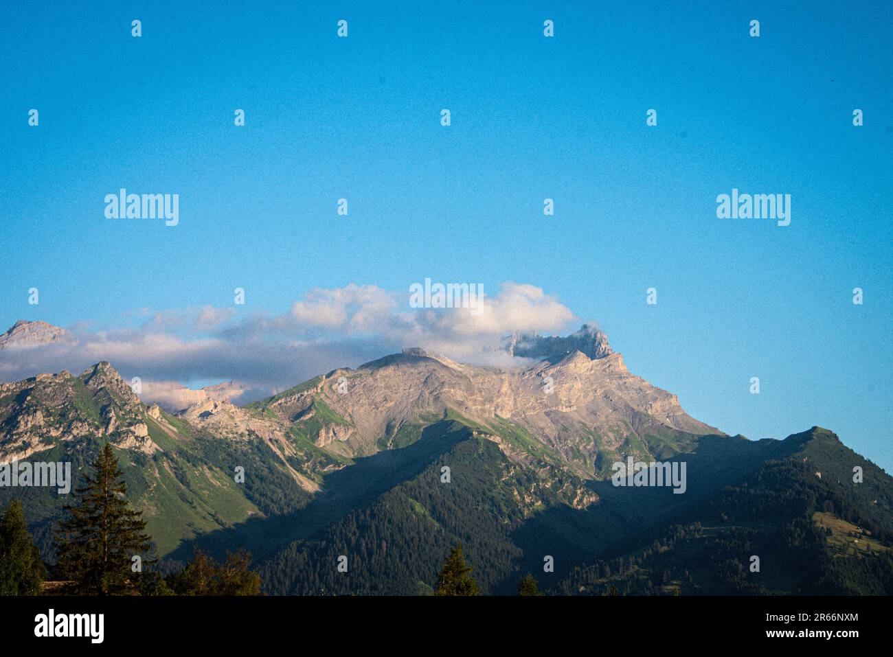 Vista sulle montagne passeggiando intorno a Villars-sur-Ollon in Svizzera Foto Stock