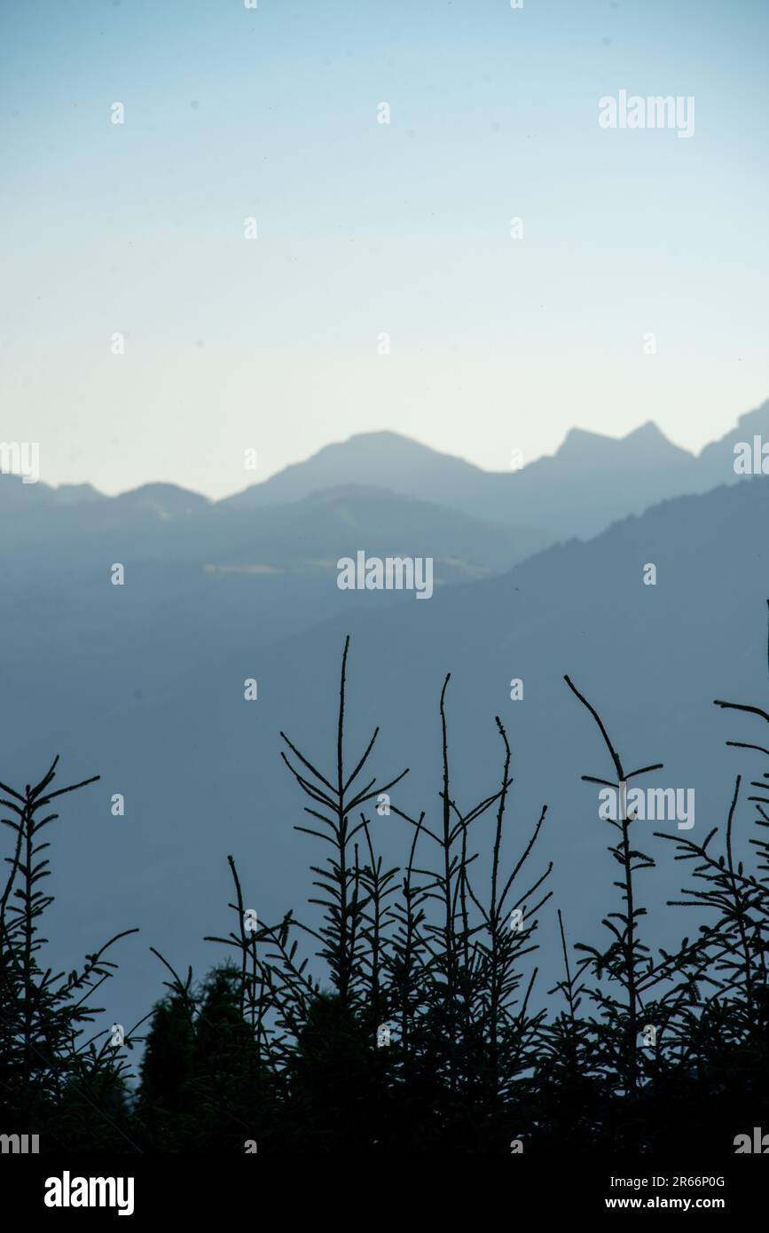Vista sulle montagne passeggiando intorno a Villars-sur-Ollon in Svizzera Foto Stock