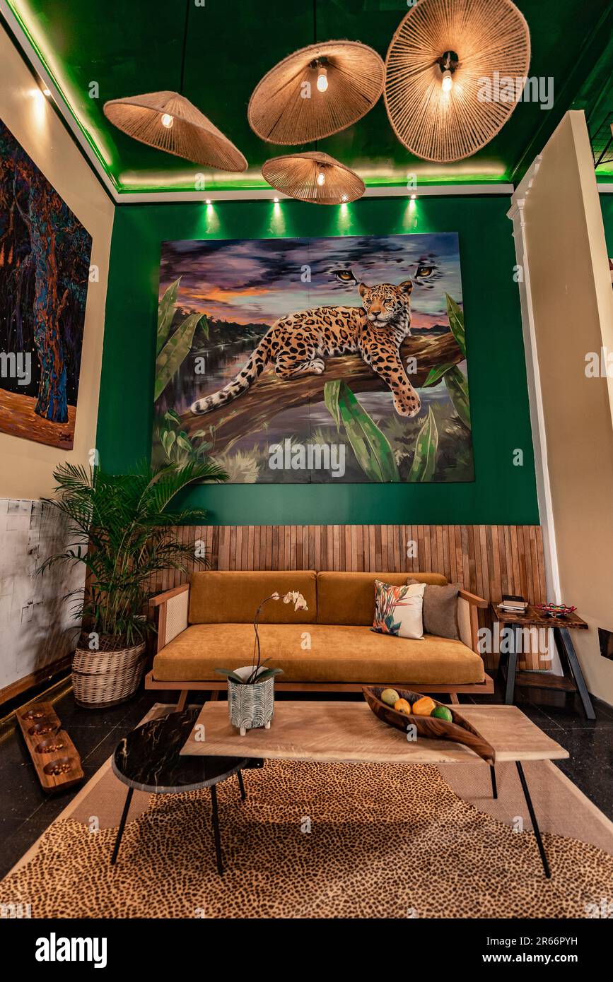 Sala y lobby de departamento con acabados de madera inspirados en la selva Foto Stock
