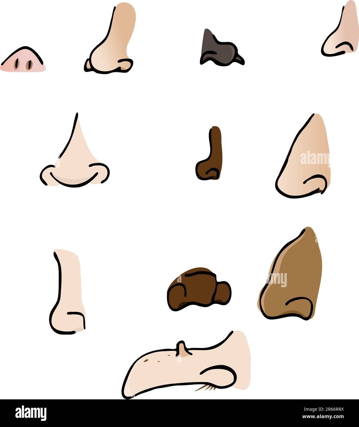 Un set di 11 disegni di parti del corpo del naso umano. Illustrazione Vettoriale