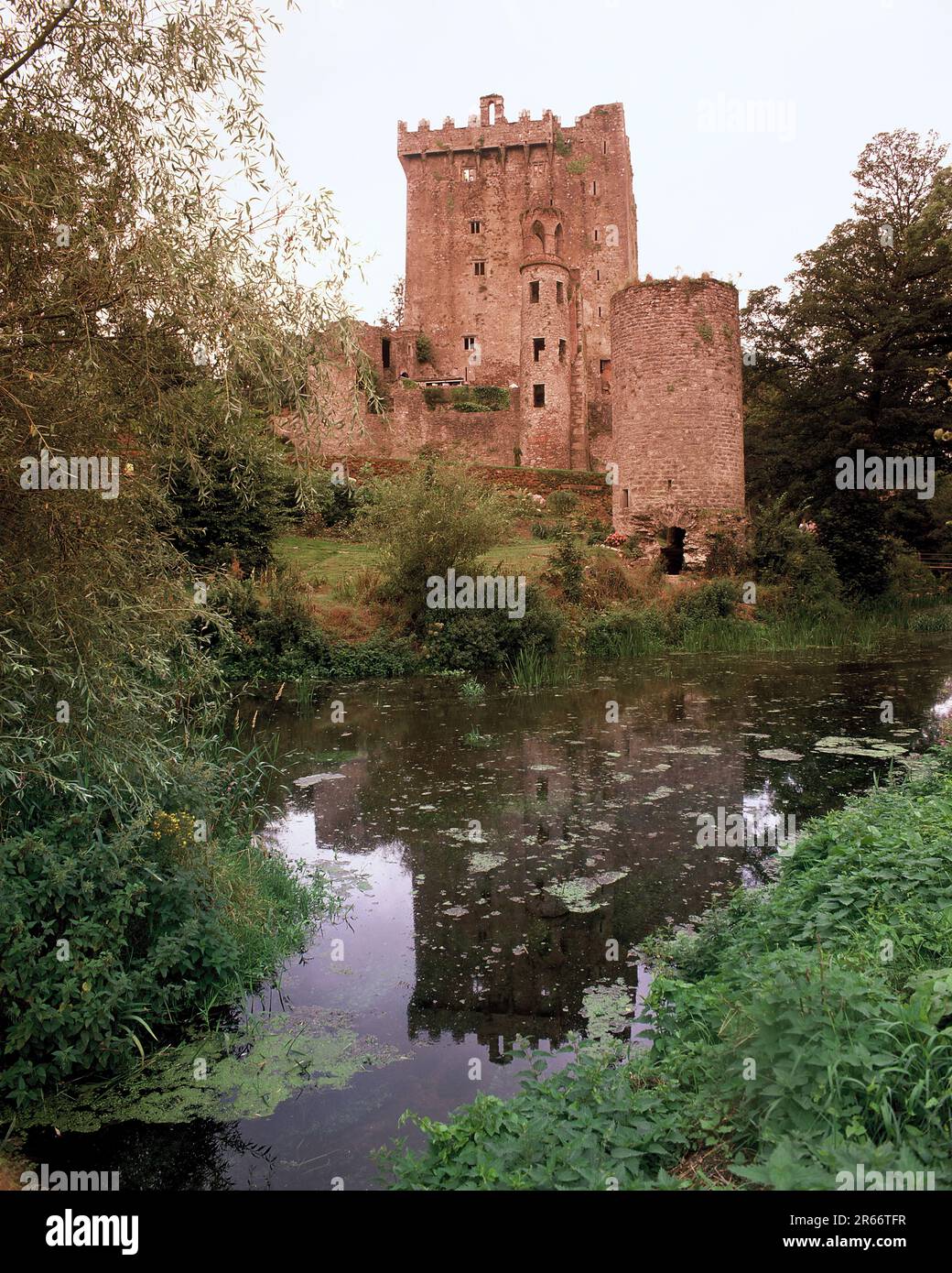 Irlanda. Contea di Cork. Castello di Blarney e fossato. Foto Stock