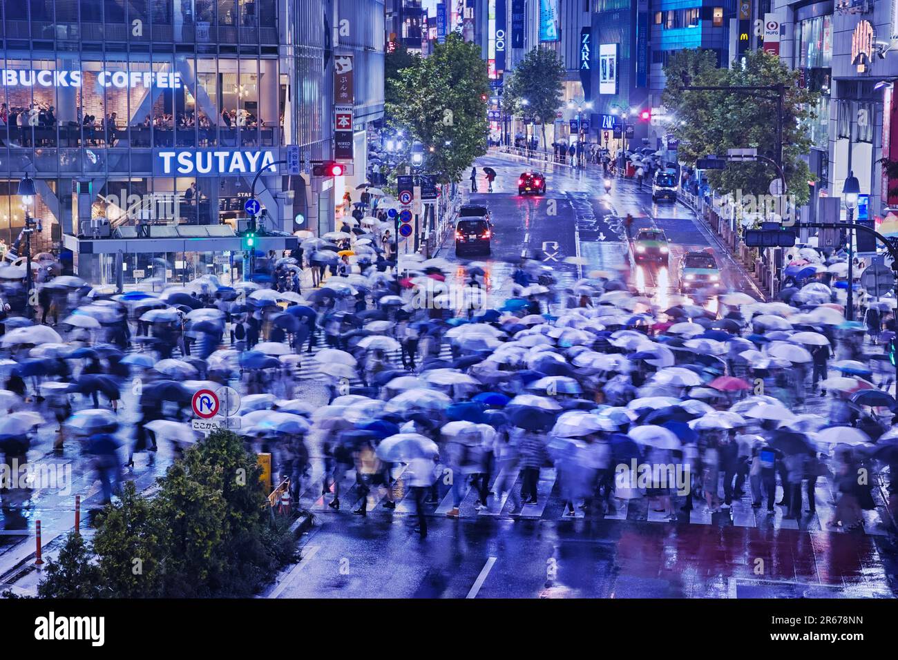 Shibuya Scramble Crossing affollato in una notte piovosa Foto Stock