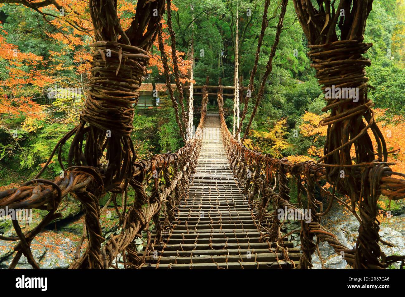 Kazura Bridge a Iya e foglie autunnali Foto Stock