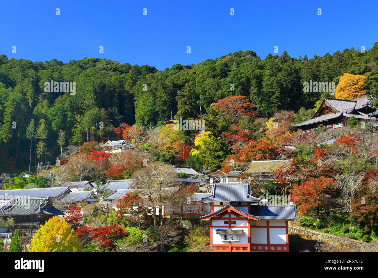 Lascia Long Valley Temple Foto Stock